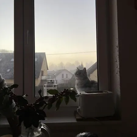 Siebengebirgsnest * Königswinter